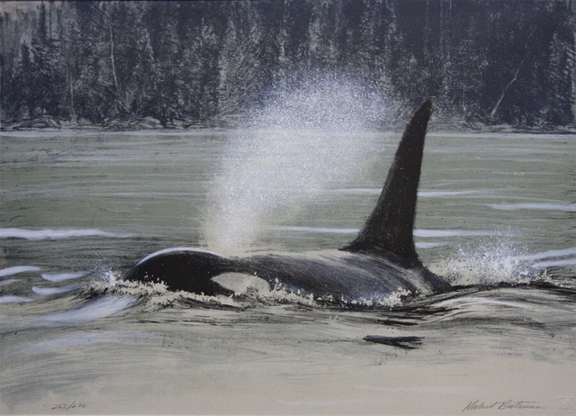 Robert Bateman Fluid Power Orca Lithograph