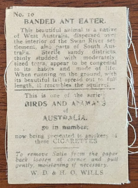 1918 Wills Cigarette Card Silk Birds And Animals Of Australia Banded Ant Eater. 2