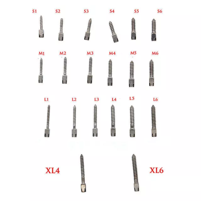 30 Pcs Dental Pure Titanium Assorted Conical Screw Posts Root Canal 20 Sizes