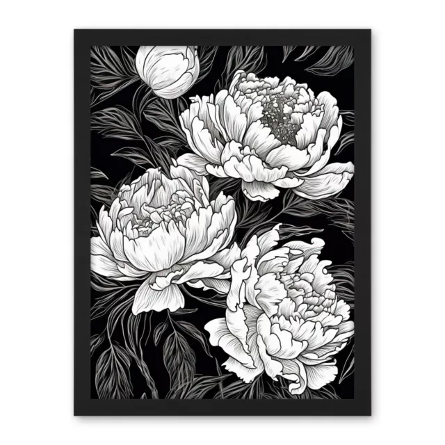 Peony Flower Blooms White on Black Illustration Framed Wall Art Print 18X24