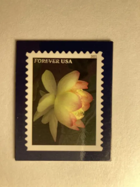 USPS Collector Stamp Magnet - Forever USA - 2021 Flower