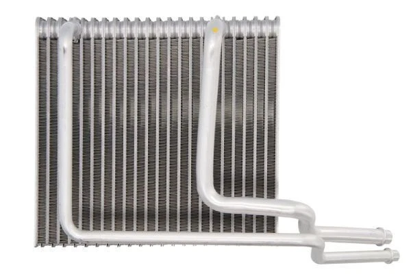 Thermotec Ktt150039 Vaporizzatore Aria condizionata per Renault Megane Scenic 97-99