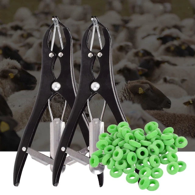 CASTRATION PLIER CASTRATION Device Pig Tail Cutting Clamp for Goat