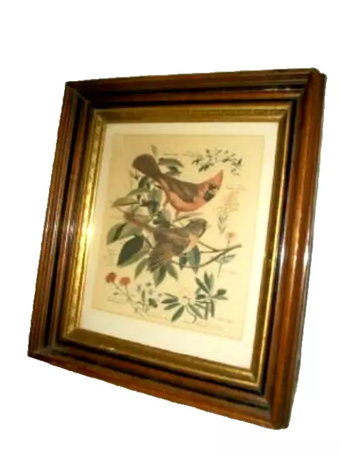 Victorian Aesthetic Eastlake Gilt Wood Frame Walnut Bird Print Incredible Shape