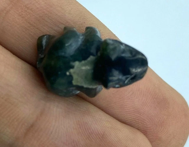 Old antique Animals Figures carved bead From Ancient Pyu City states Burma 6