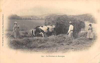 Cpa 63 Auvergne La Fenaison En Auvergne / Agriculture