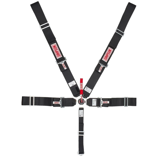 Simpson 29112P Platinum Camlock, Wrap Around, Pull Down Harness