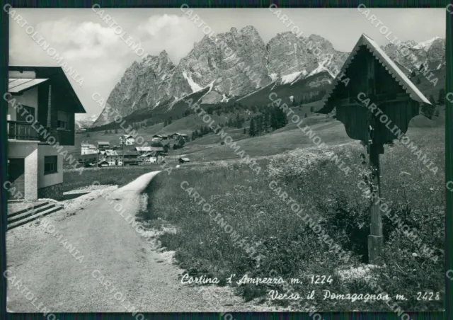 Belluno Cortina D'Ampezzo Foto FG cartolina ZKM7133