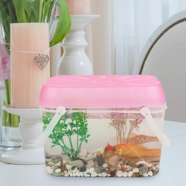 Aquarium Aquariums Et Bocaux À Poissons De Voyage Enfant Miniature Ramper