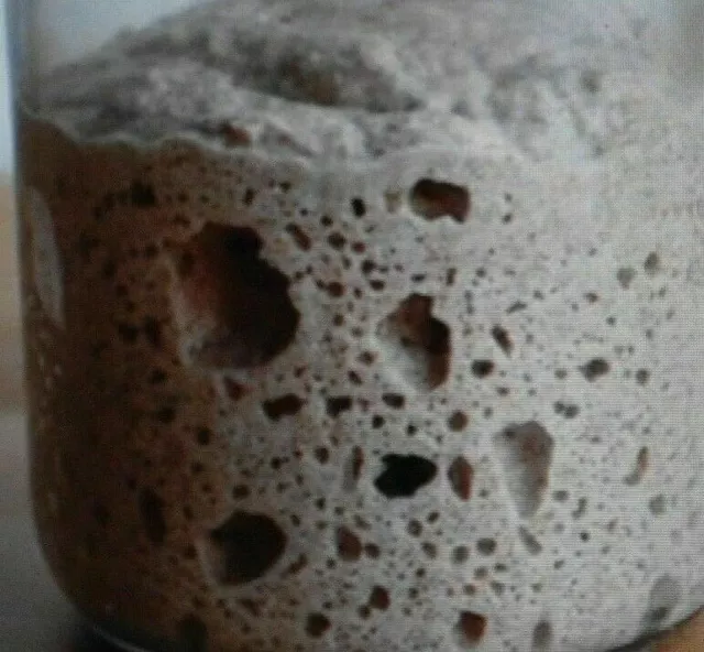 MOLO ORIGINALE SAN FRANCISCO SOURDOUGH STARTER farina di pane lievito ATTIVA bonanza