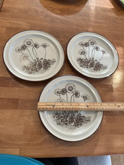 Noritake Desert Flowers Salad Side Plates Vintage 70s Japan Stoneware Set of 3