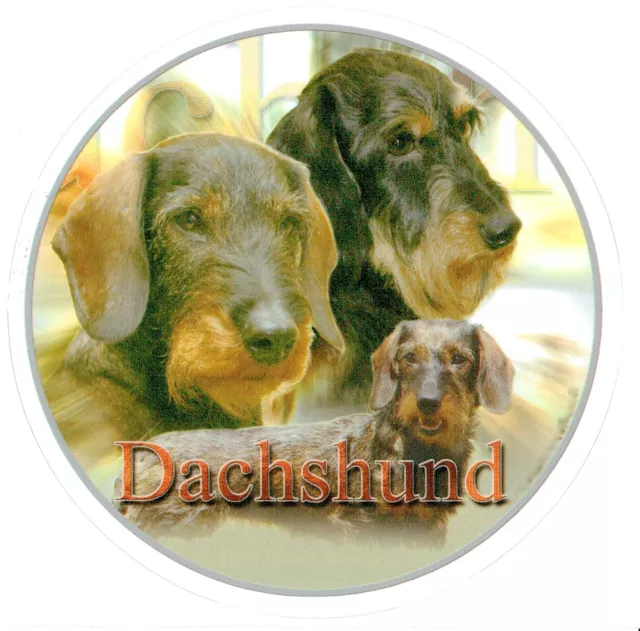 Design Aufkleber Rauhhaar Dackel Dachshund Teckel 15cm  Autoaufkleber Hund