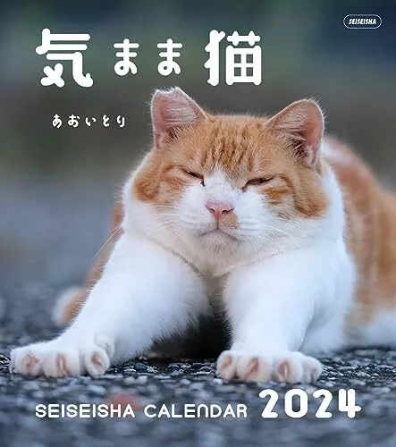 Weird Medieval Cats Calendar 2024  Calendrier Des Chats Médiévaux