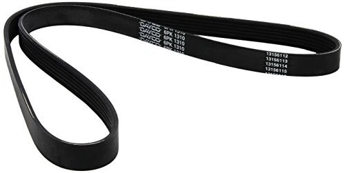 DAYCO 6PK1310 Cinghia Poly-V (B1I)