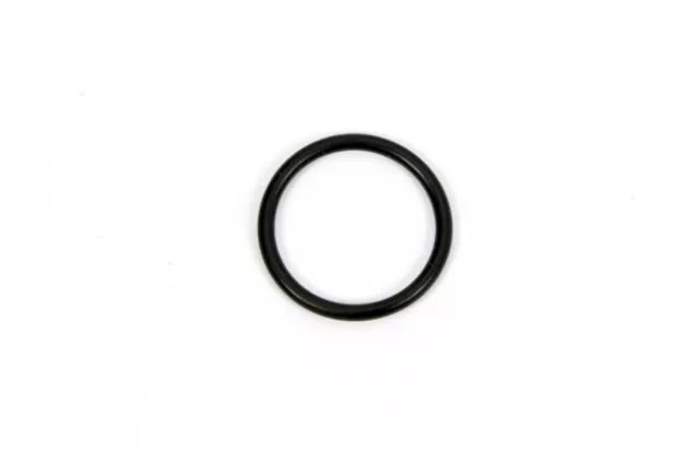 O-Ring For Inspection Plug WINTERS 7454