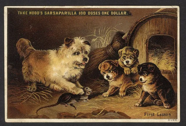 HOOD'S SARSAPARILLA 1880's Victorian Trade Card MEDICAL QUACK CURE Catarrh