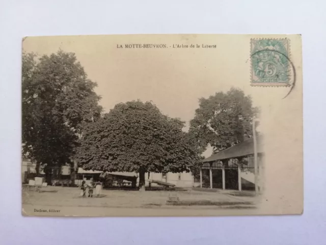 CP Ancienne Arbre Tree 41 - LAMOTTE BEUVRON Loir et Cher L'ARBRE de la LIBERTÉ