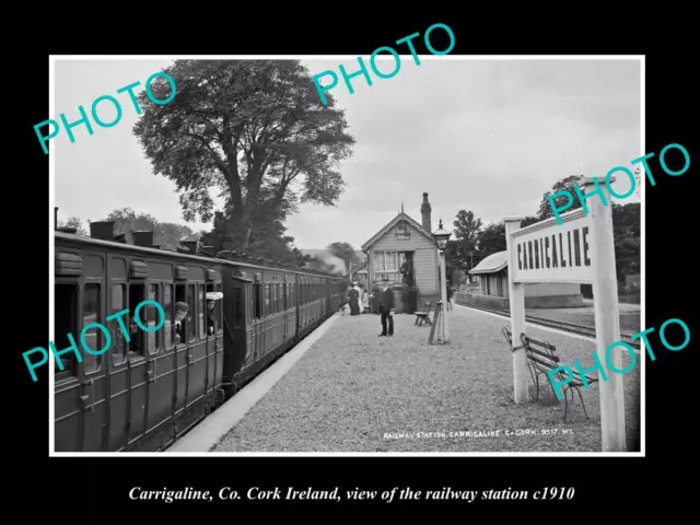 OLD 6 X 4 HISTORIC PHOTO OF CARRIGALINE CORK IRELAND THE RAILWAY STATION c1910