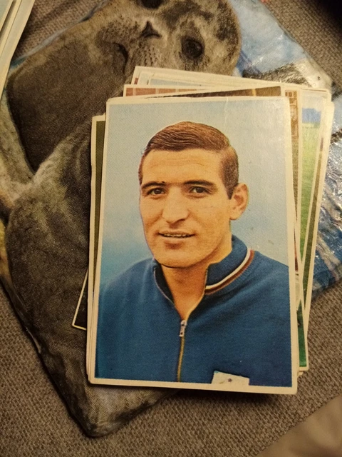 Xm38 FKS 1970 World Cup Soccer Stars Mexico 70 Sticker No 77