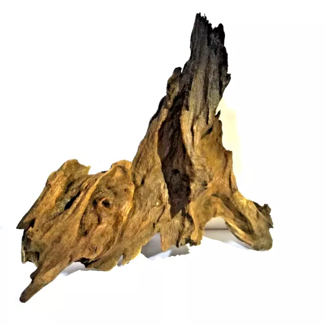 100% Organic Air Plant Holder Timber Bark Home Deco aquarium fish tank Bogwood 3