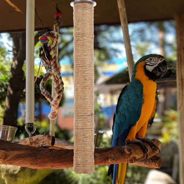 Sitzstangen Für Vogelkäfig Vogelklauen-Stehstock Zubehör Warm Halten