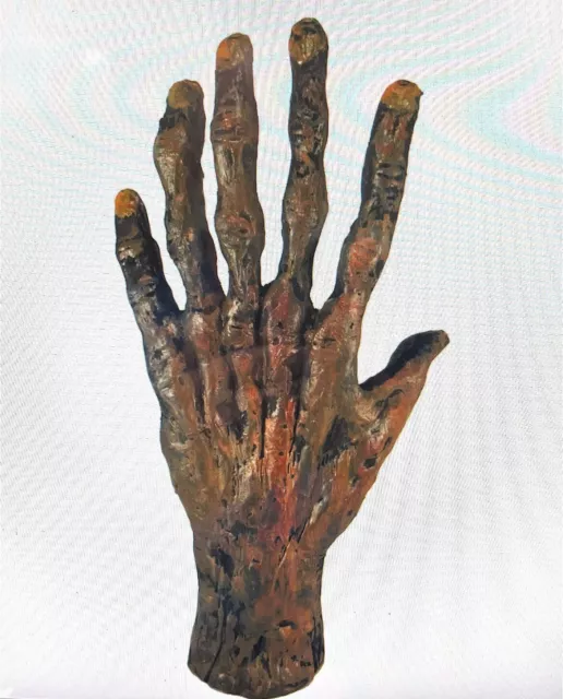 Bizarre! 6 Finger Mummified Mummy Hand Gaff Curriosity Medical Specimen Oddity