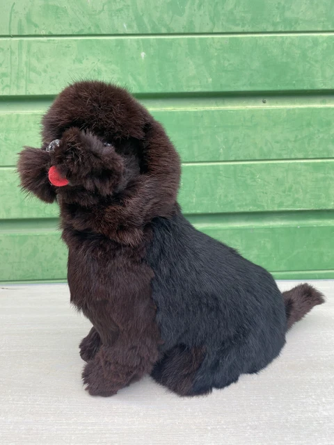 Chien ancien peluche d'occasion - Collection