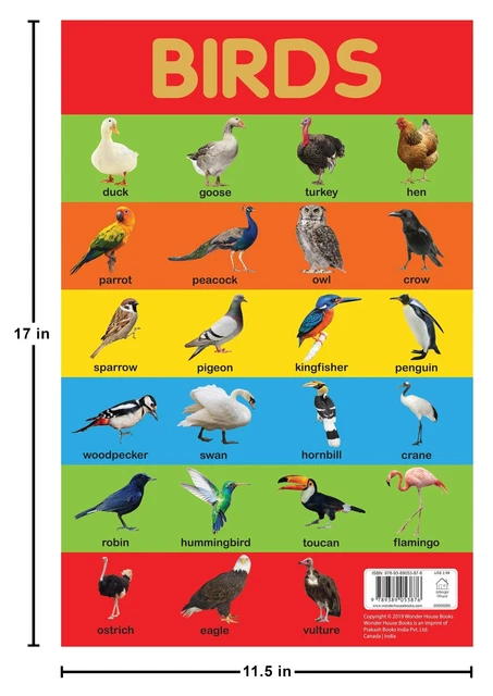 BIRDS CHART: EARLY Learning Educational Chart For Kids by Wonder House ...