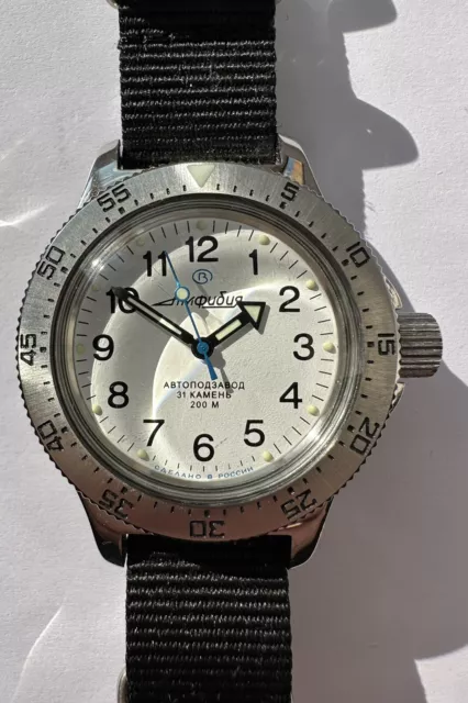 Vostok amphibia 120813 hotsell