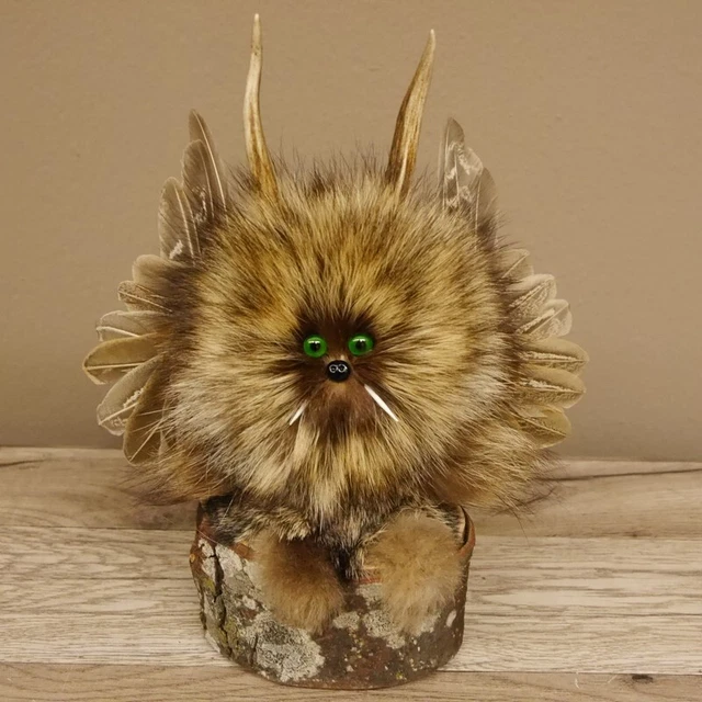 Pequeño Wolpertinger Wolpi Preparado Taxidermy Con Verde Ojos Y Pequeño Ala