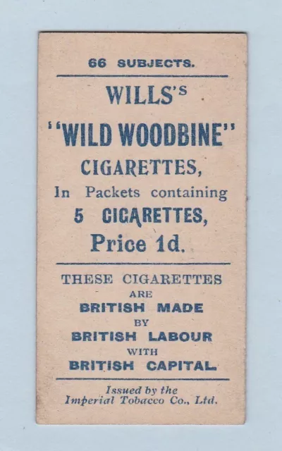 Cigarette Card - Football Series (W.D. & H.O. Wills Ltd.) - #12 Walter Bull 2