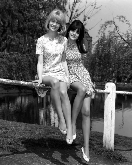 Sally / Judy Geeson 10" x 8" Photograph no 2