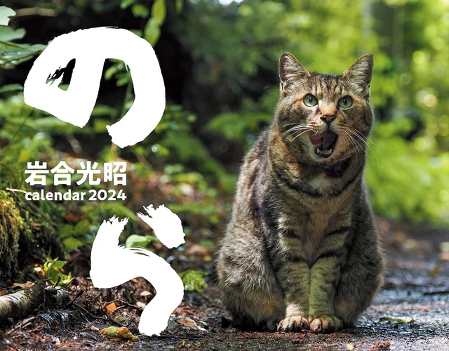 Cat Day 2025 Japan Sean Winnie