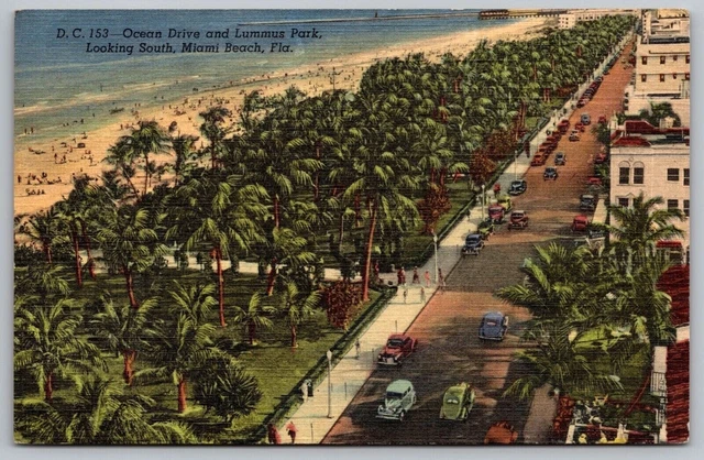 Miami Beach Florida Lummus Park Scenic Birds Eye View Linen UNP Postcard