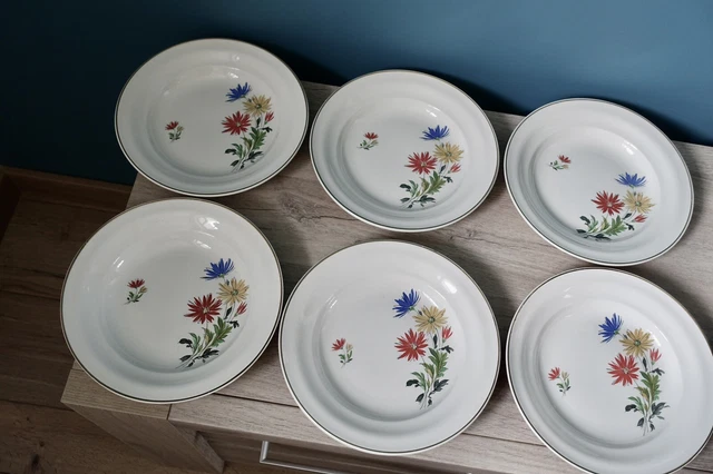 Assiettes Creuses Céranord Saint Amand A Décor De Fleurs - Dalhias ?