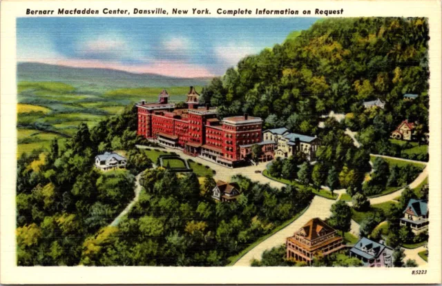 Postcard Bernarr Macfadden Center Dansville Birds Eye New York D52