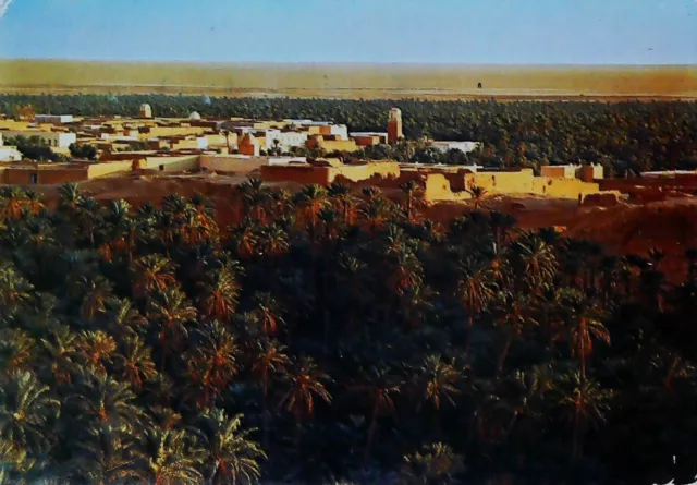 Tunisia Nefta Africa Generale View Postcard 13277