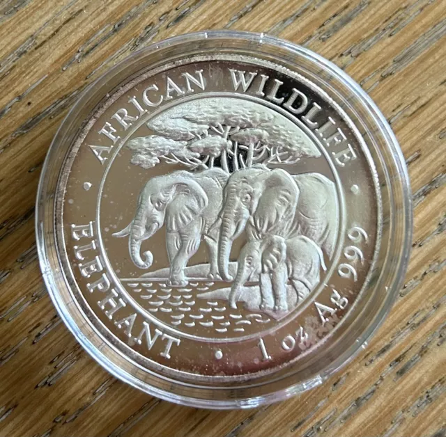 Somalie monnaie 2013 /1 once OZ argent 100 shillings Elephant African Wildlife.