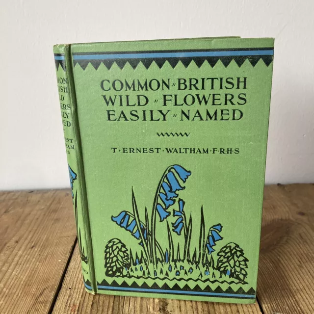 Common British Wildflowers Easily Named By T. Ernest Waltham Antique Nature Book