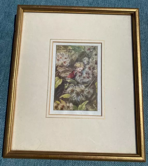 A c1930s gilt framed print of 'The old man's beard Fairy' by CMB