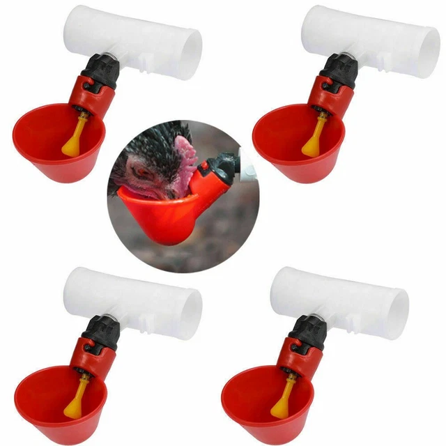 Alimentatore Acqua Gravity per Polli 4pz Bicchieri Automatici Pollame