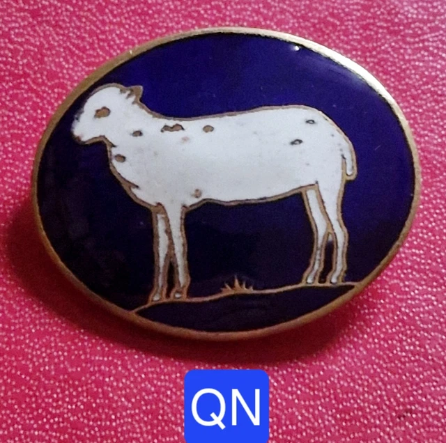 Broche Ancienne En émail Cloisonné A.Augis Lyon - Motif Edelweiss, Vintage
