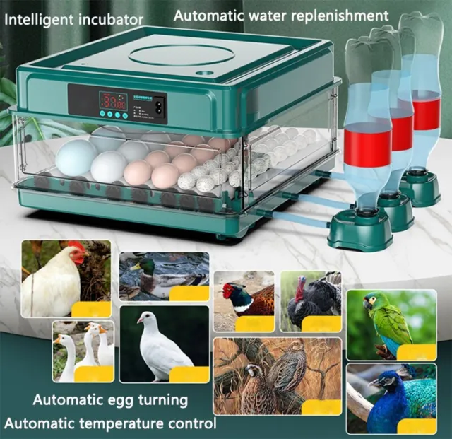Intelligent Incubator Egg Hatching 36pcs Incubator Household Automatic Incubator