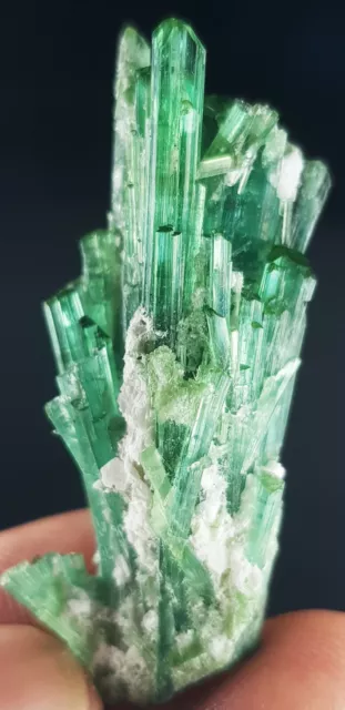 Beautiful 66 Ct Natural Green 💚 Color Tourmaline Rough Afghani Crystal Bunch