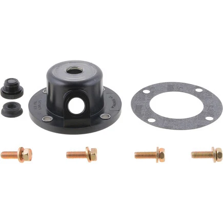 Dana Holding Corporation W02HK100 Hub Cap