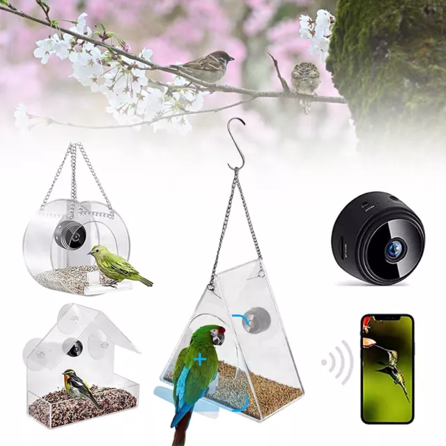 Alimentatore Smart Bird trasparente con fotocamera Bird House alimentatore per animali domestici telecomando WiFi 3