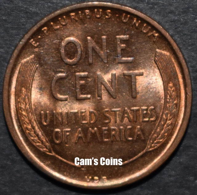 Panini - WC Brasil 14 - Box Sigillato Da 50 Bustine Box