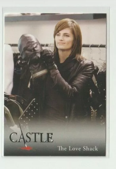Castle TV Show Seasons 1 & 2 Trading Card Stana Katic Kate Beckett #44