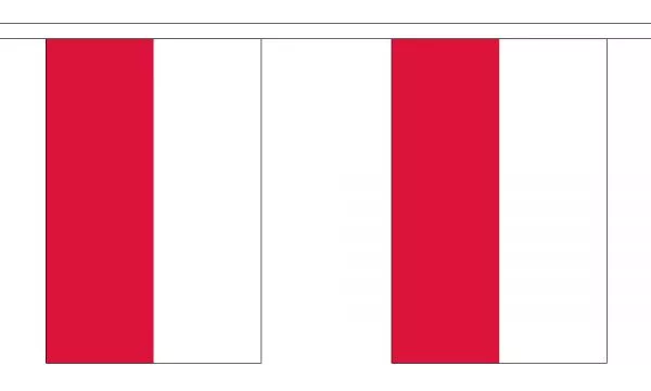 Poland Flag Bunting - 3m 6m 9m Metre Length 10 20 30 Flags - Polyester Euro 2016