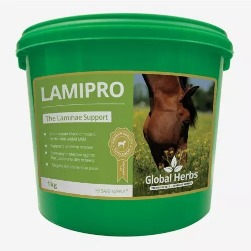 Global Herbs LamiPro Powder 1KG + FREE SHIPPING